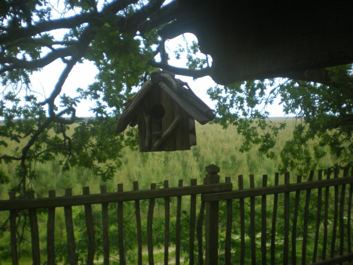 Cabane Perchee Solferino Ngoại thất bức ảnh